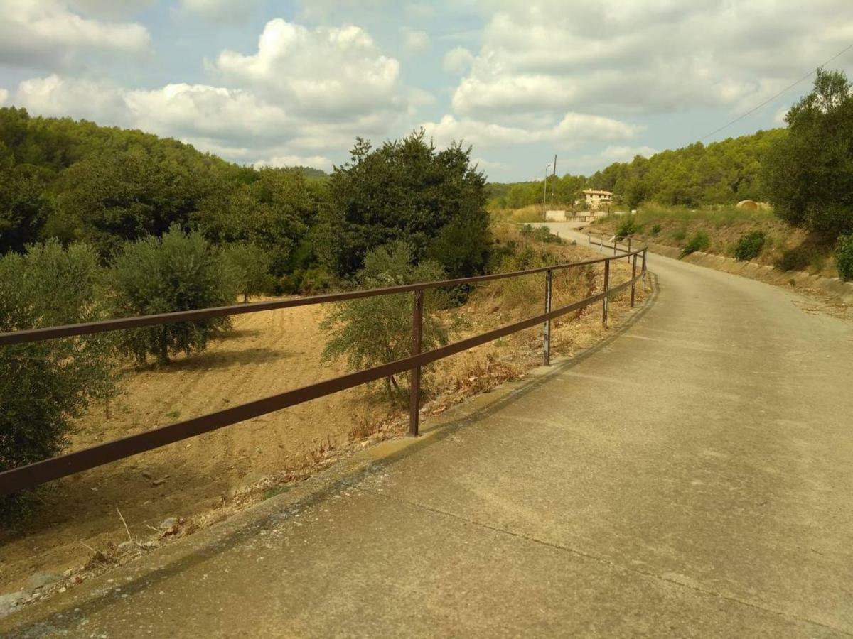 Apartamento En Terrades, Emporda Dış mekan fotoğraf